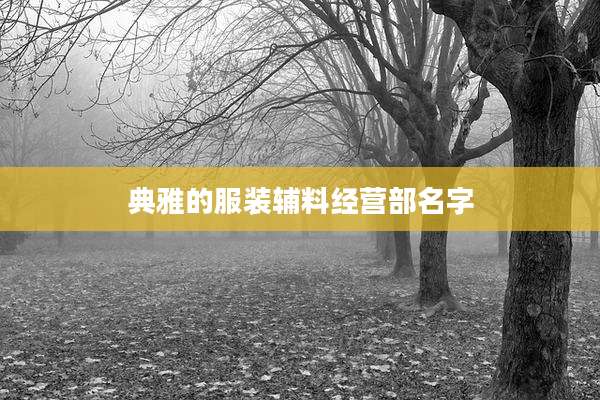 典雅的服装辅料经营部名字