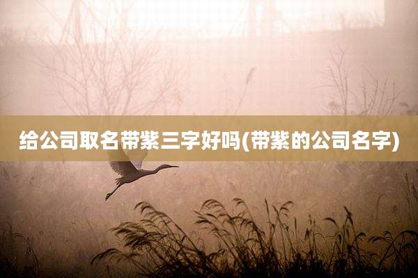 给公司取名带紫三字好吗(带紫的公司名字)