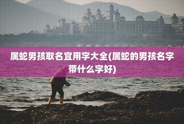 属蛇男孩取名宜用字大全(属蛇的男孩名字带什么字好)
