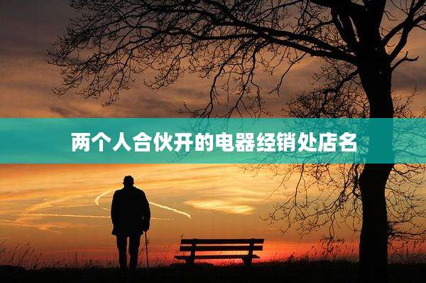 两个人合伙开的电器经销处店名