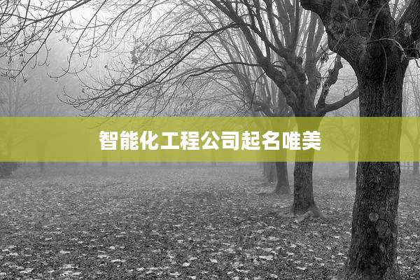 智能化工程公司起名唯美