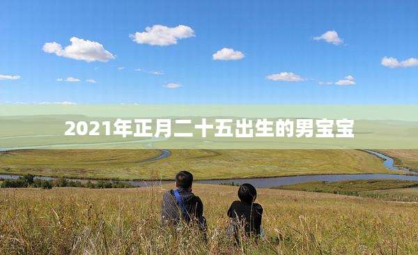 2021年正月二十五出生的男宝宝
