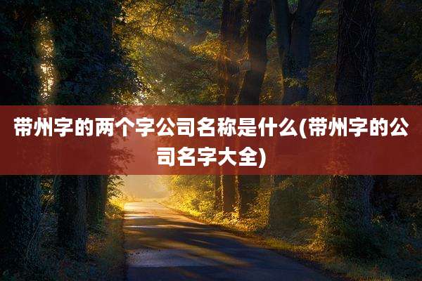 带州字的两个字公司名称是什么(带州字的公司名字大全)