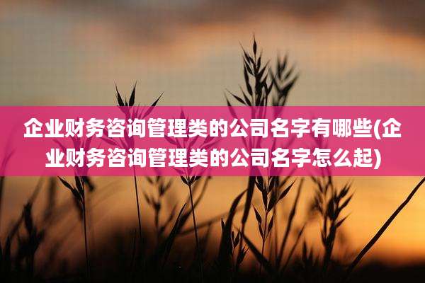 企业财务咨询管理类的公司名字有哪些(企业财务咨询管理类的公司名字怎么起)
