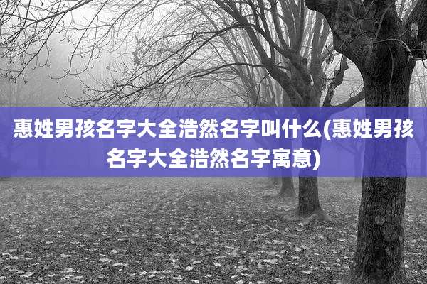 惠姓男孩名字大全浩然名字叫什么(惠姓男孩名字大全浩然名字寓意)