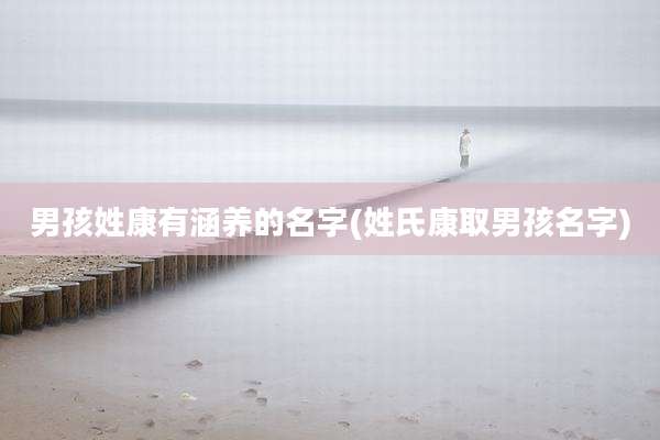 男孩姓康有涵养的名字(姓氏康取男孩名字)