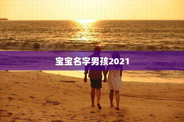 宝宝名字男孩2021