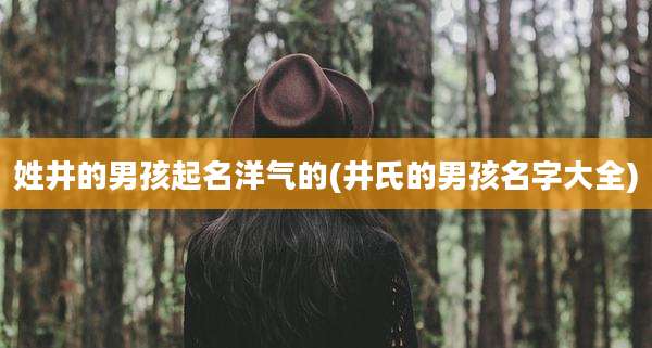姓井的男孩起名洋气的(井氏的男孩名字大全)