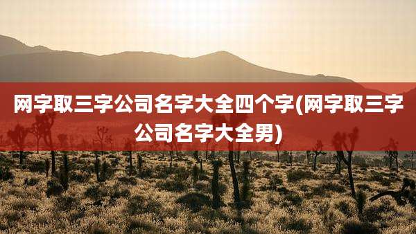网字取三字公司名字大全四个字(网字取三字公司名字大全男)