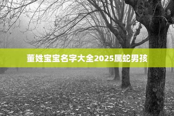 董姓宝宝名字大全2025属蛇男孩