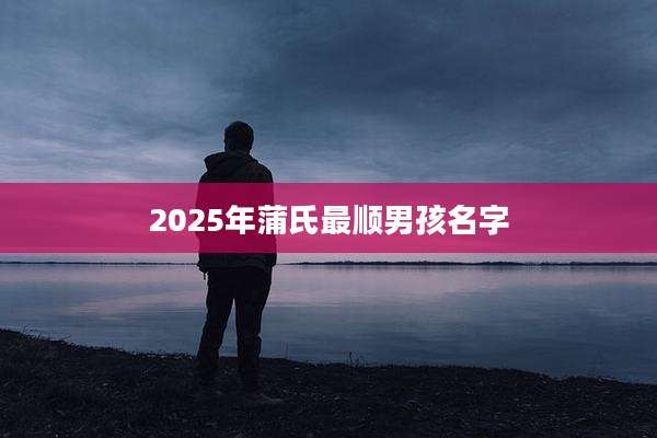 2025年蒲氏最顺男孩名字