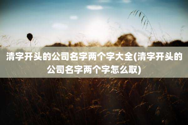 清字开头的公司名字两个字大全(清字开头的公司名字两个字怎么取)