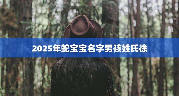 2025年蛇宝宝名字男孩姓氏徐