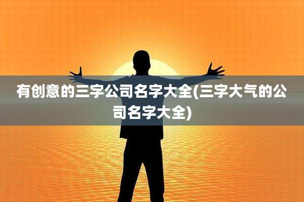 有创意的三字公司名字大全(三字大气的公司名字大全)