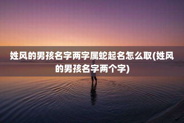 姓风的男孩名字两字属蛇起名怎么取(姓风的男孩名字两个字)