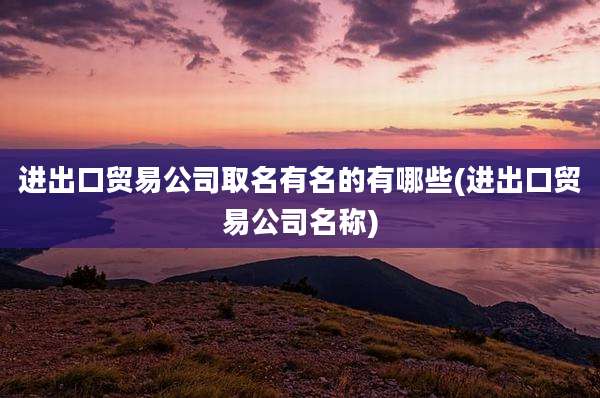 进出口贸易公司取名有名的有哪些(进出口贸易公司名称)