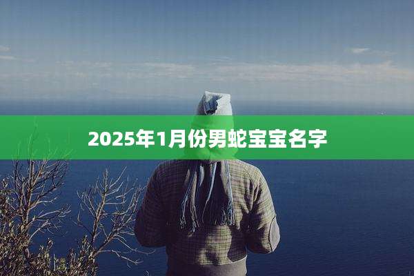 2025年1月份男蛇宝宝名字