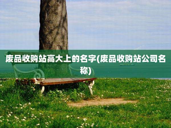 废品收购站高大上的名字(废品收购站公司名称)