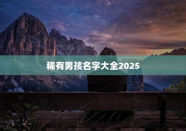 稀有男孩名字大全2025