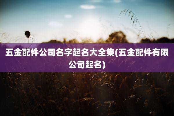 五金配件公司名字起名大全集(五金配件有限公司起名)
