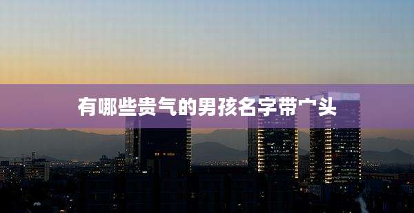 有哪些贵气的男孩名字带宀头