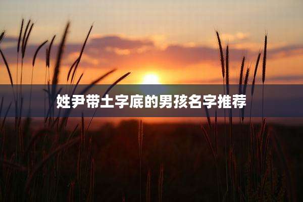 姓尹带土字底的男孩名字推荐