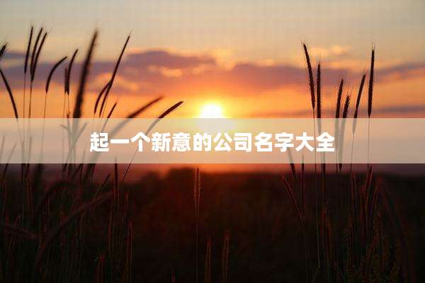 起一个新意的公司名字大全