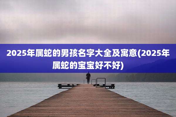 2025年属蛇的男孩名字大全及寓意(2025年属蛇的宝宝好不好)