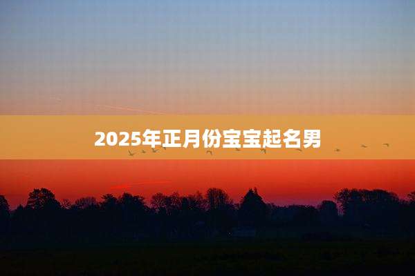 2025年正月份宝宝起名男