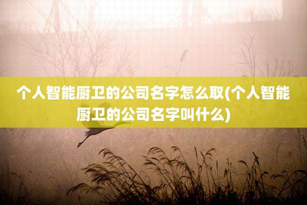 个人智能厨卫的公司名字怎么取(个人智能厨卫的公司名字叫什么)