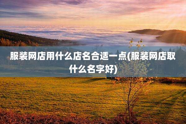 服装网店用什么店名合适一点(服装网店取什么名字好)