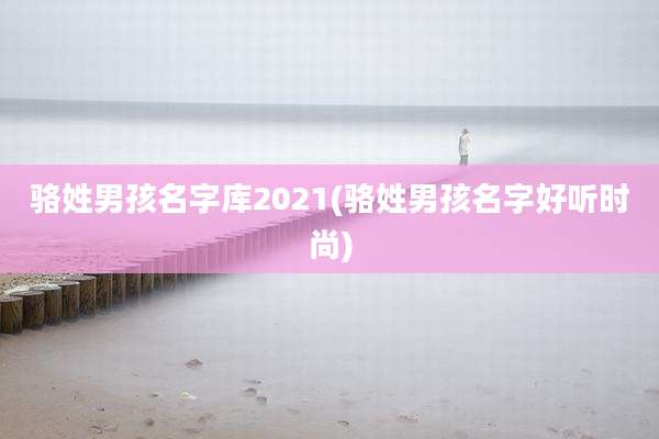 骆姓男孩名字库2021(骆姓男孩名字好听时尚)