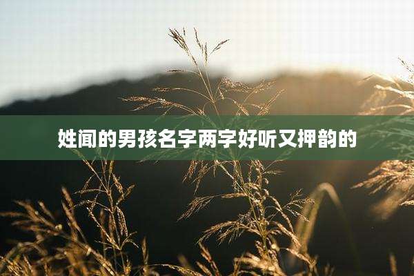 姓闻的男孩名字两字好听又押韵的
