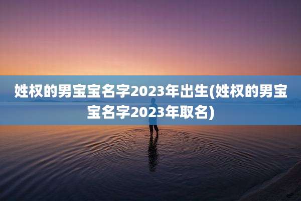 姓权的男宝宝名字2023年出生(姓权的男宝宝名字2023年取名)