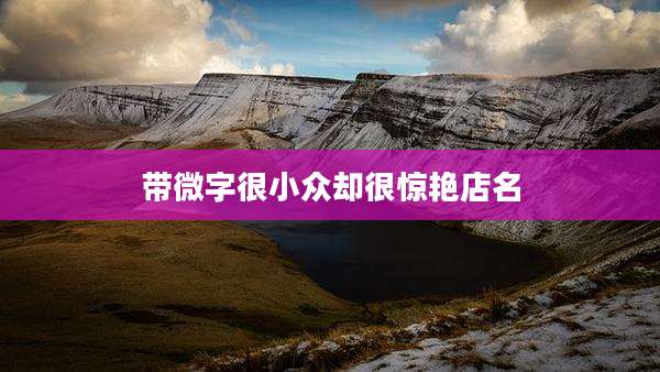 带微字很小众却很惊艳店名