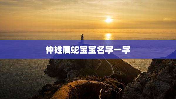 仲姓属蛇宝宝名字一字