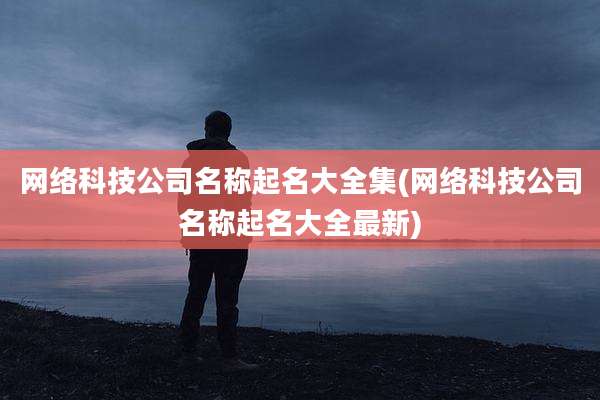 网络科技公司名称起名大全集(网络科技公司名称起名大全最新)