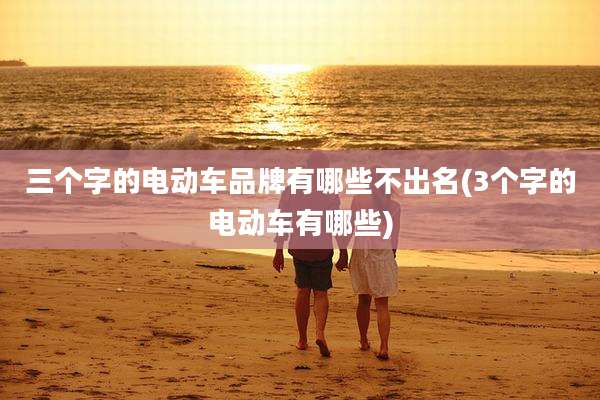 三个字的电动车品牌有哪些不出名(3个字的电动车有哪些)