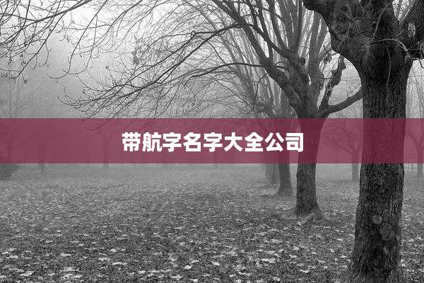 带航字名字大全公司