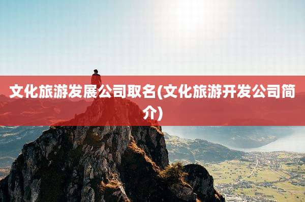 文化旅游发展公司取名(文化旅游开发公司简介)