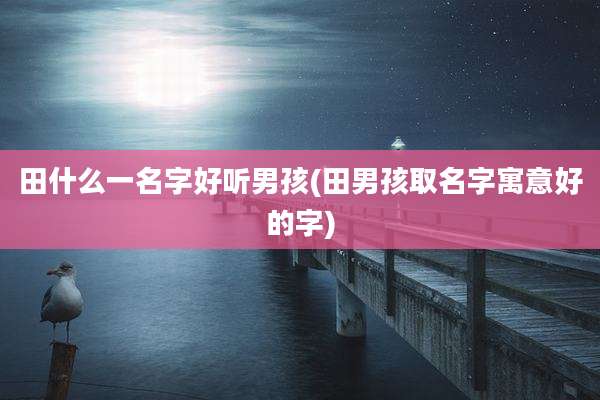 田什么一名字好听男孩(田男孩取名字寓意好的字)