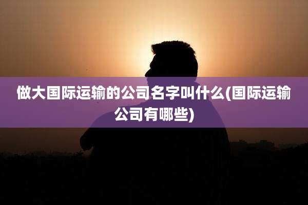 做大国际运输的公司名字叫什么(国际运输公司有哪些)