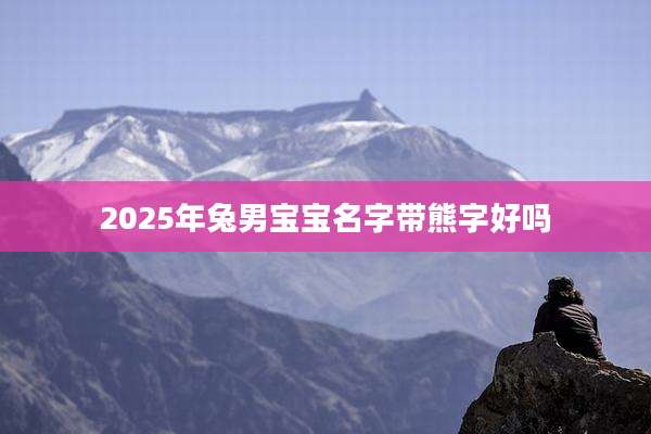 2025年兔男宝宝名字带熊字好吗