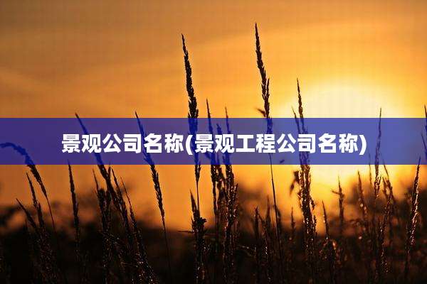 景观公司名称(景观工程公司名称)