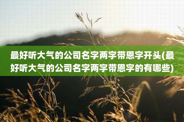 最好听大气的公司名字两字带恩字开头(最好听大气的公司名字两字带恩字的有哪些)