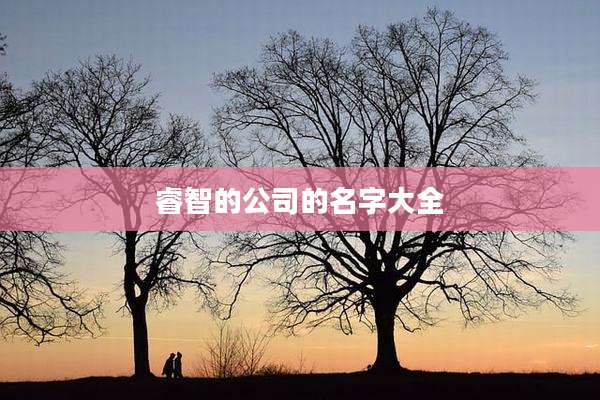 睿智的公司的名字大全