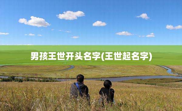 男孩王世开头名字(王世起名字)
