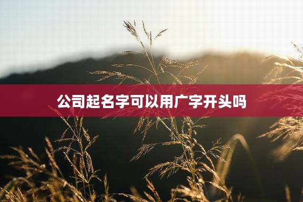 公司起名字可以用广字开头吗