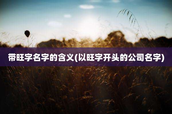 带旺字名字的含义(以旺字开头的公司名字)