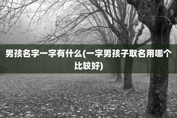 男孩名字一字有什么(一字男孩子取名用哪个比较好)